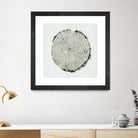 Woodland Years II by Sue Schlabach on GIANT ART - beige trees