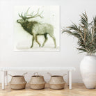Elk 2 by James Wiens on GIANT ART - beige animals deer