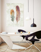 Natural Flora XI Bold Feathers by Danhui Nai on GIANT ART - beige contemporary