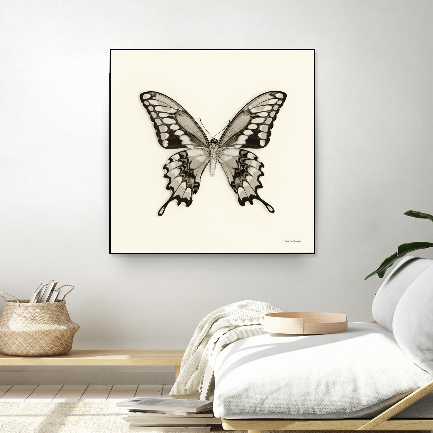 Butterfly VI BW Crop by Debra Van Swearingen on GIANT ART - beige animals