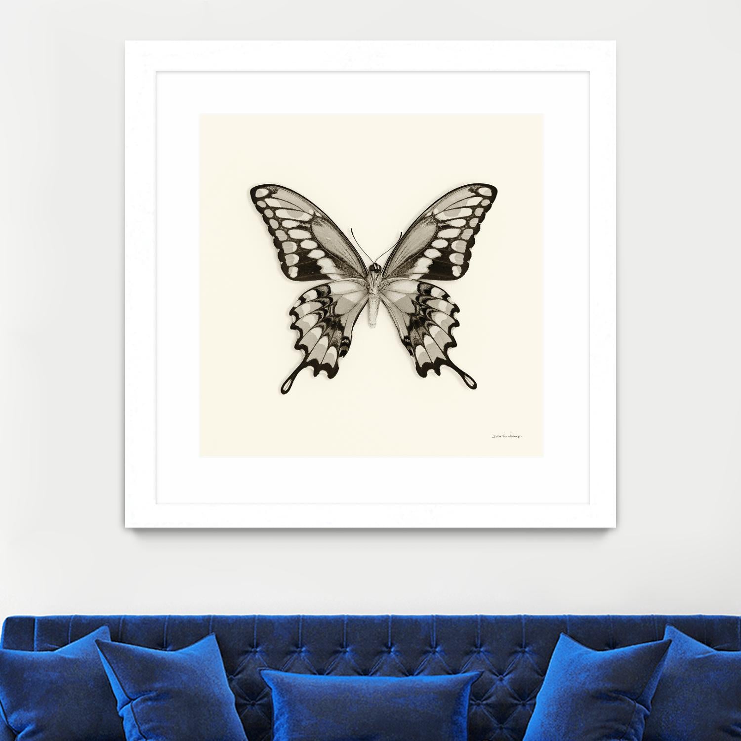 Butterfly VI BW Crop by Debra Van Swearingen on GIANT ART - beige animals