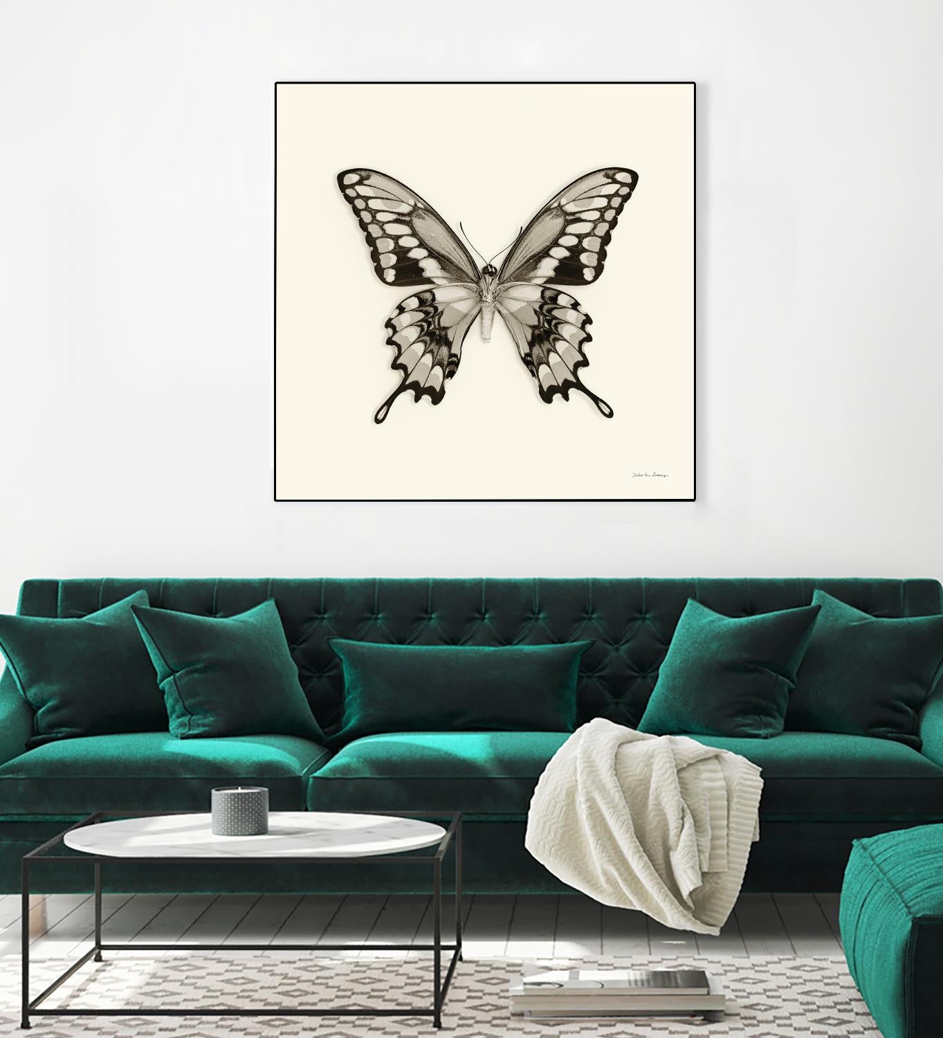 Butterfly VI BW Crop by Debra Van Swearingen on GIANT ART - beige animals