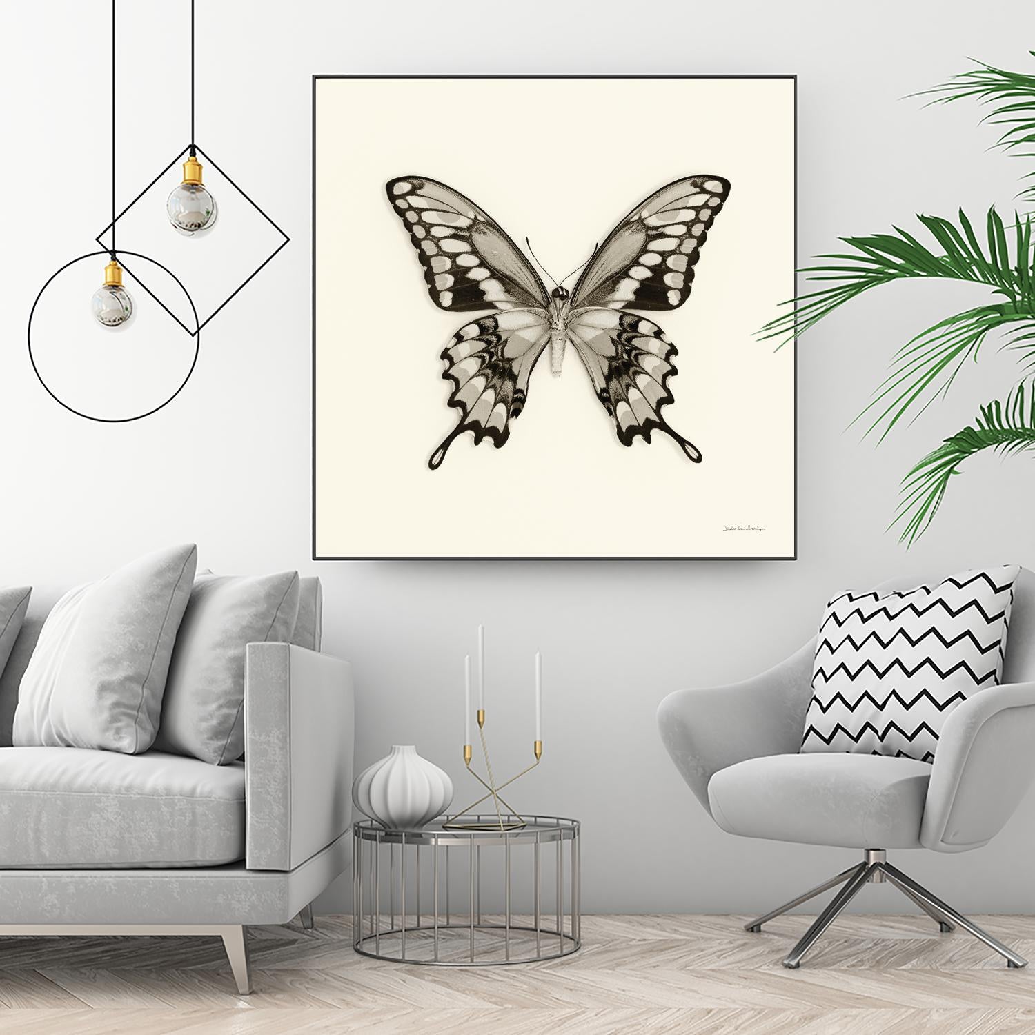 Butterfly VI BW Crop by Debra Van Swearingen on GIANT ART - beige animals