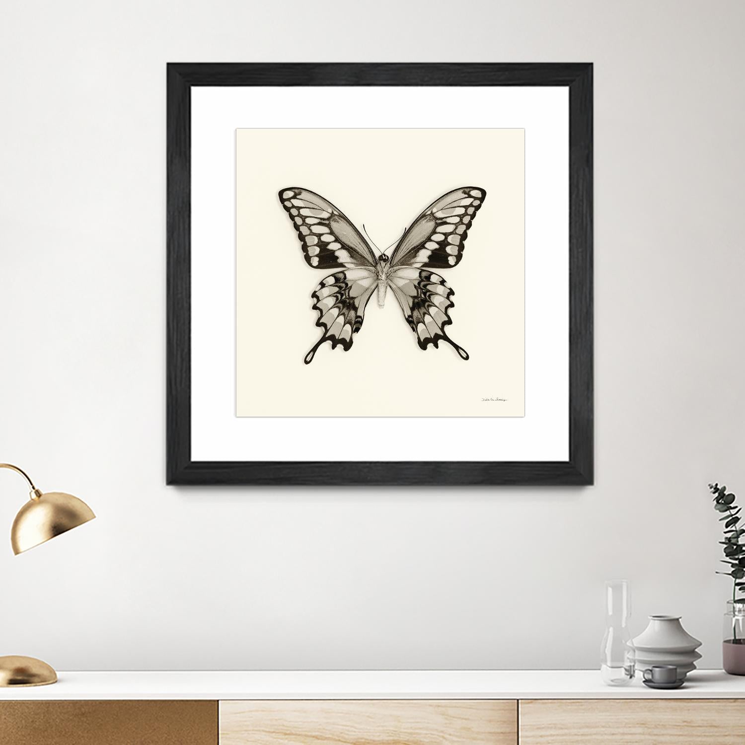 Butterfly VI BW Crop by Debra Van Swearingen on GIANT ART - beige animals