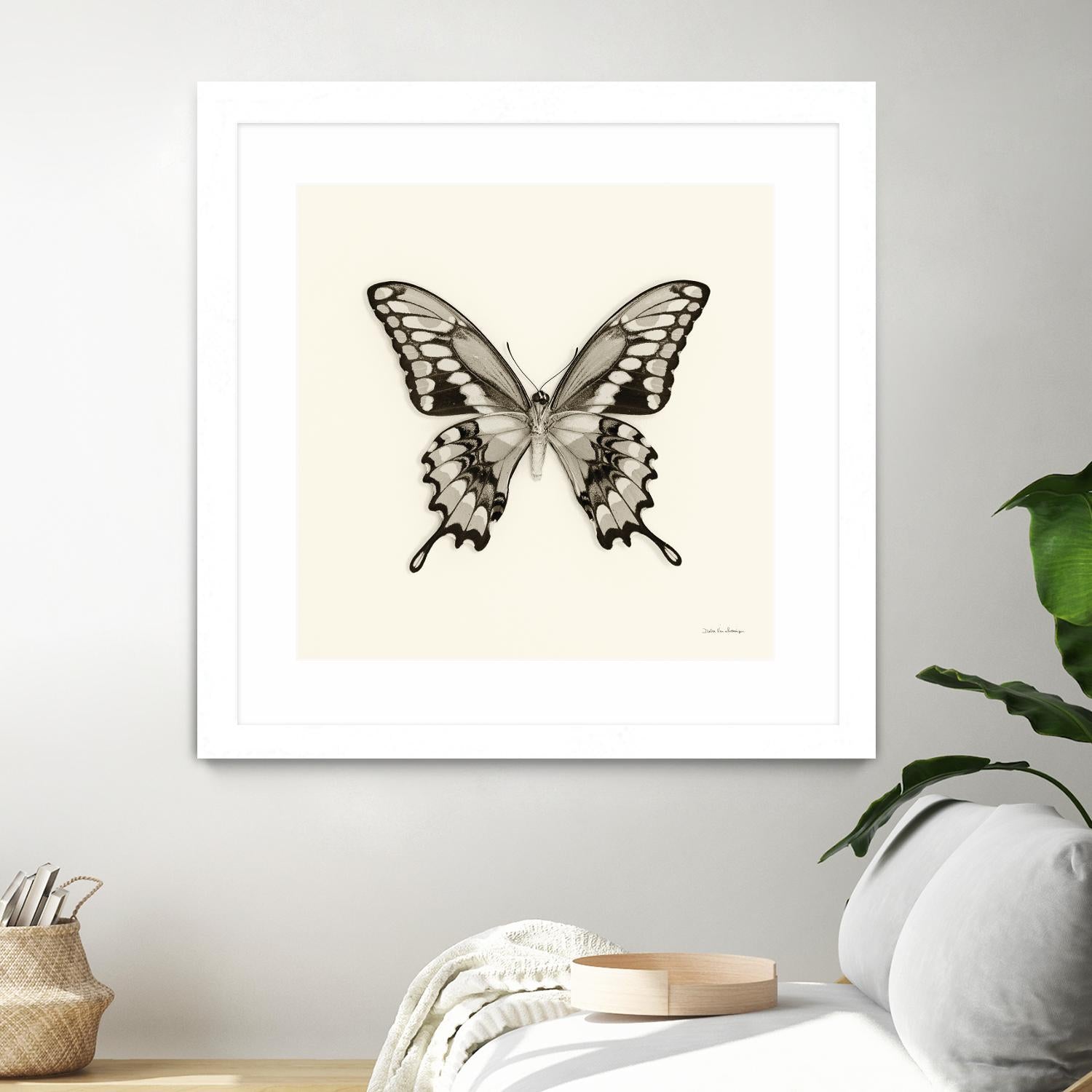 Butterfly VI BW Crop by Debra Van Swearingen on GIANT ART - beige animals