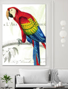 Parrot Botanique II by Portfolio on GIANT ART - blue tropical