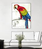 Parrot Botanique II by Portfolio on GIANT ART - blue tropical