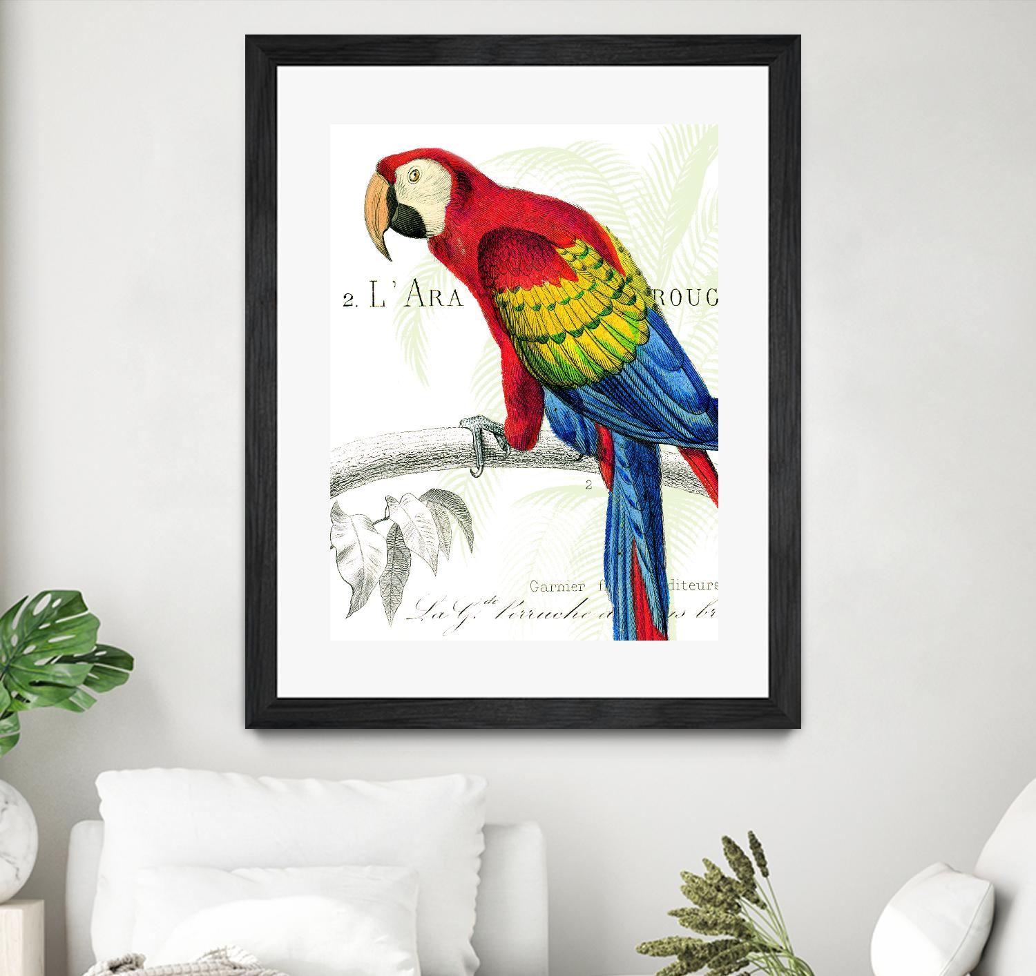 Parrot Botanique II by Portfolio on GIANT ART - red animal oiseau