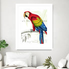 Parrot Botanique II by Portfolio on GIANT ART - red animal oiseau