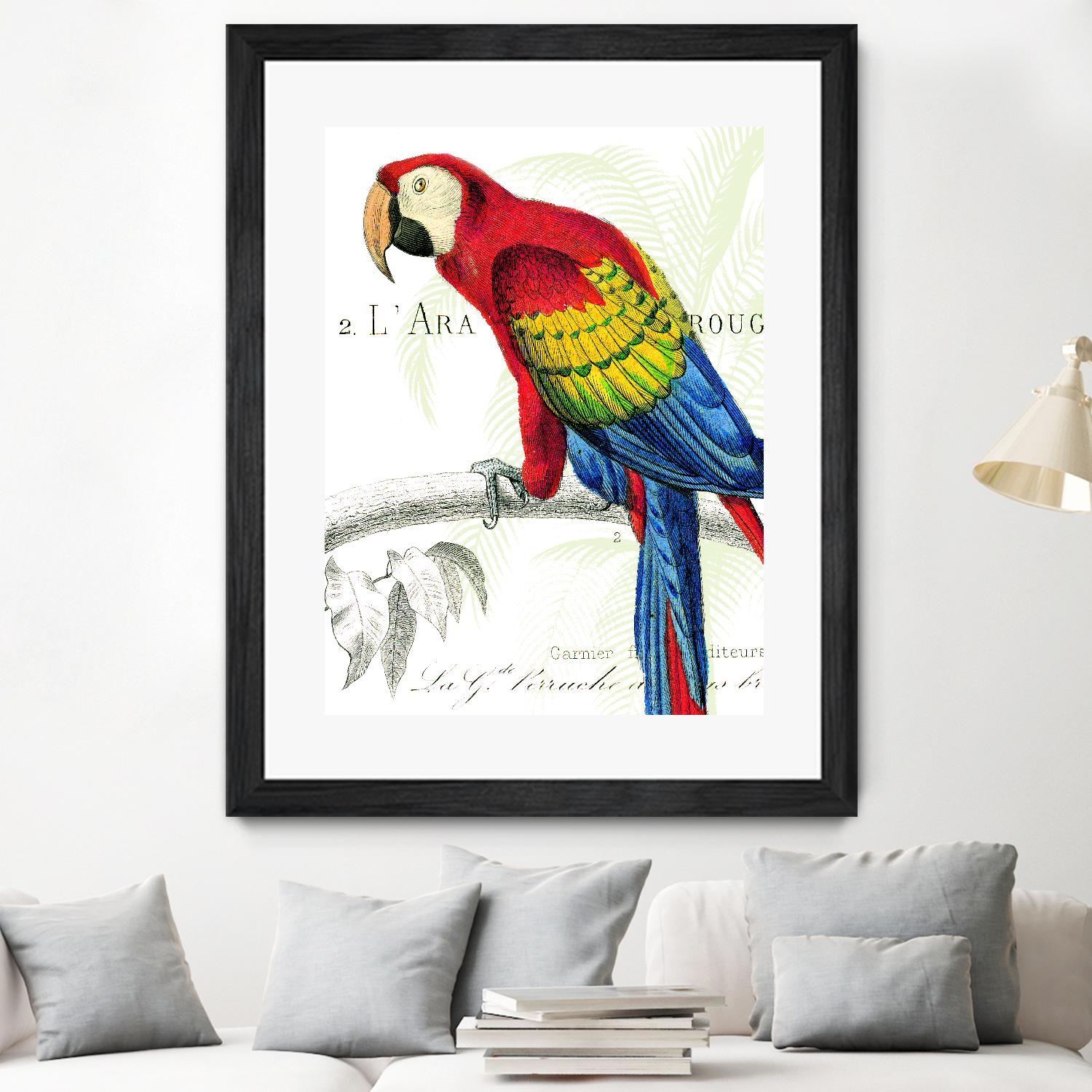 Parrot Botanique II by Portfolio on GIANT ART - red animal oiseau
