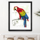 Parrot Botanique II by Portfolio on GIANT ART - red animal oiseau