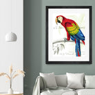 Parrot Botanique II by Portfolio on GIANT ART - red animal oiseau