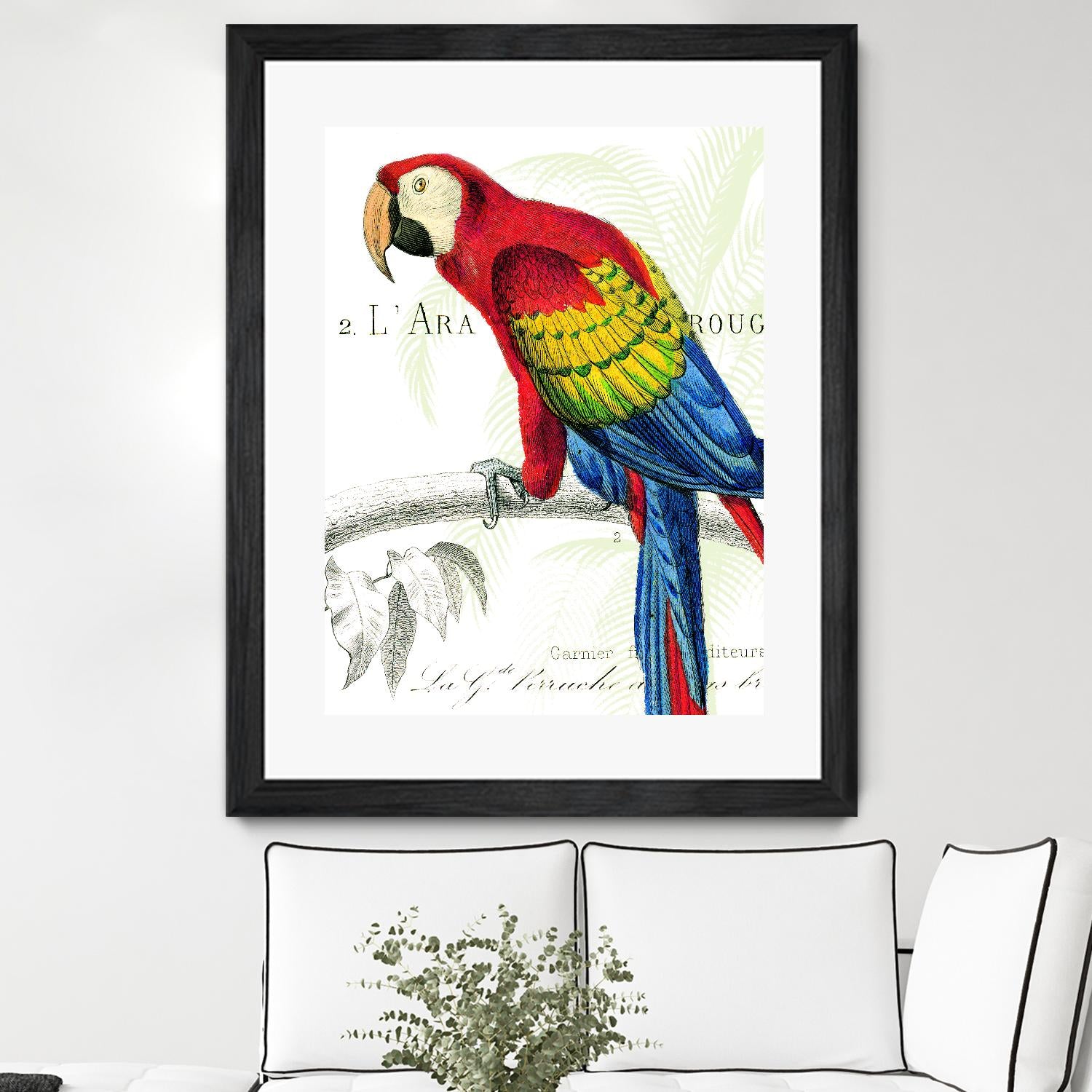 Parrot Botanique II by Portfolio on GIANT ART - red animal oiseau