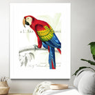Parrot Botanique II by Portfolio on GIANT ART - red animal oiseau