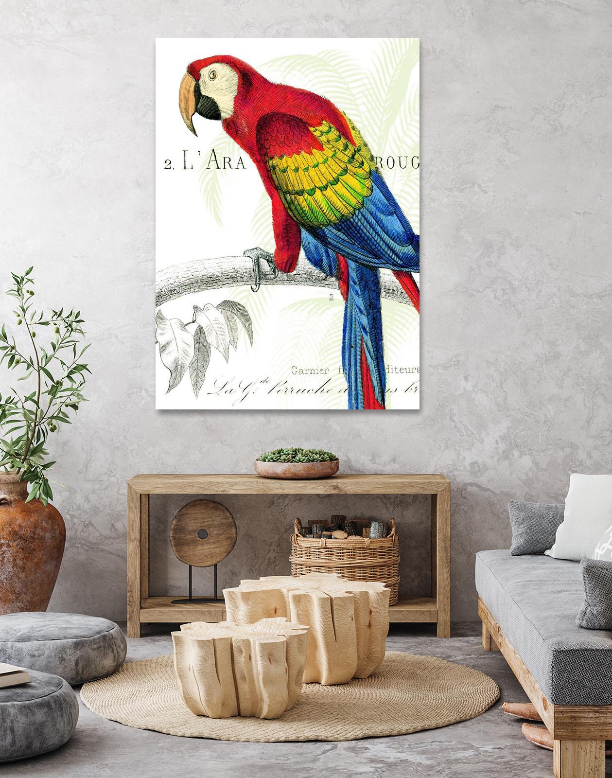 Parrot Botanique II by Portfolio on GIANT ART - red animal oiseau
