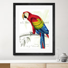 Parrot Botanique II by Portfolio on GIANT ART - red animal oiseau