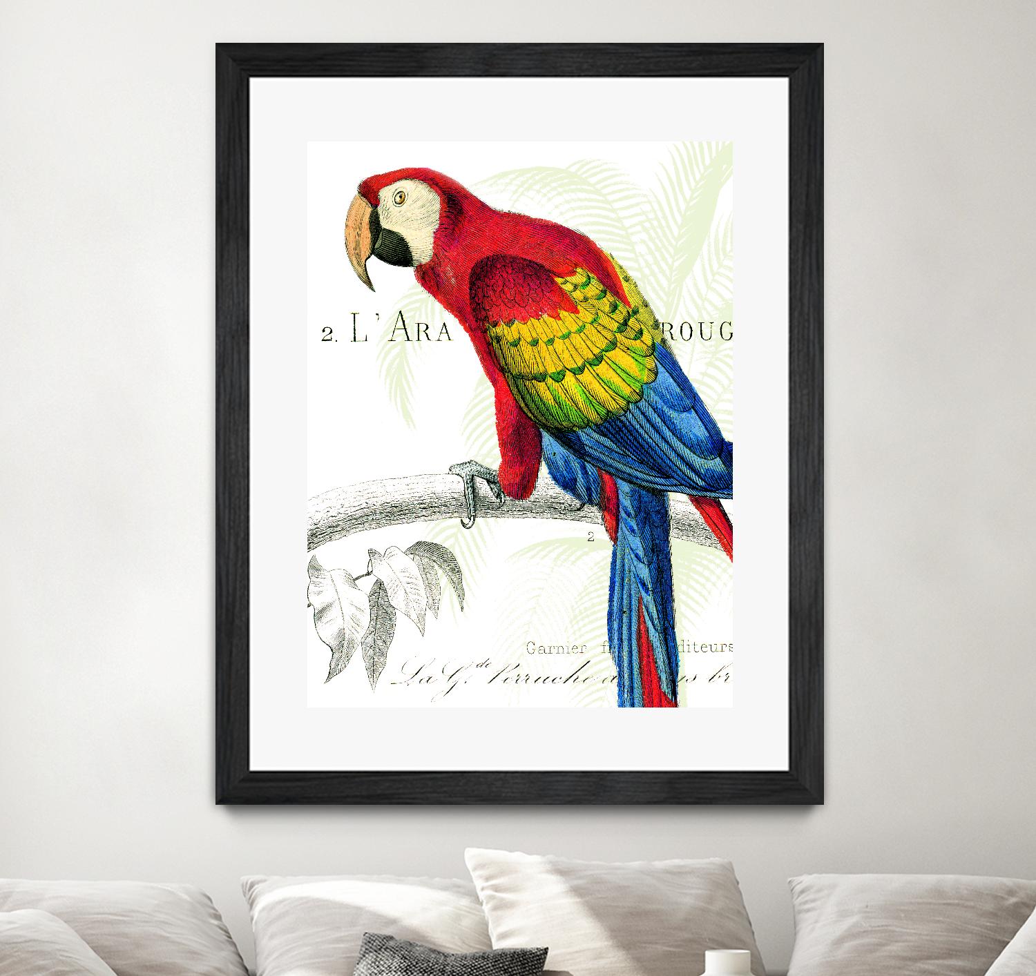 Parrot Botanique II by Portfolio on GIANT ART - red animal oiseau