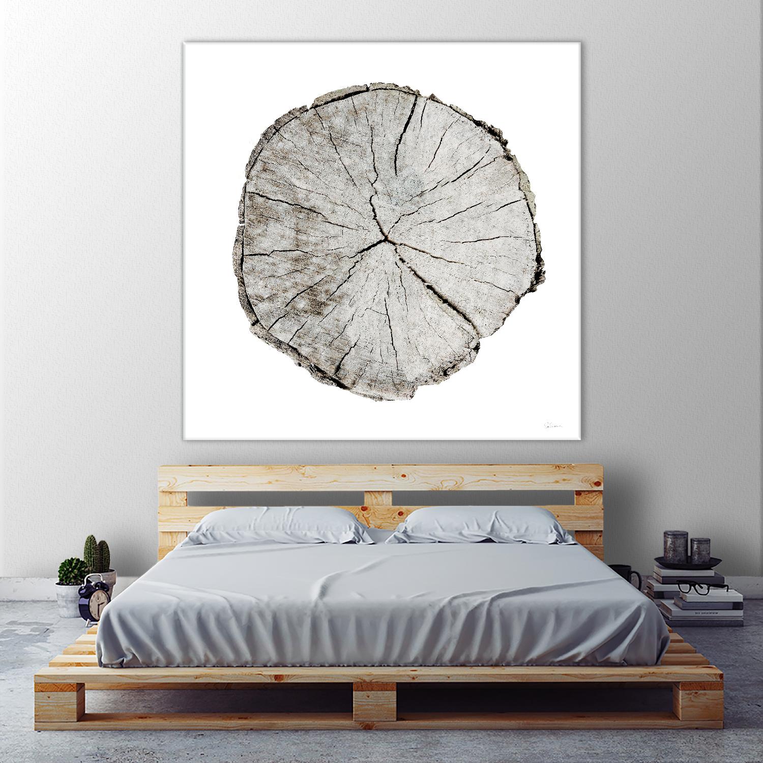 Woodland Years I on White by Sue Schlabach on GIANT ART - grey trees