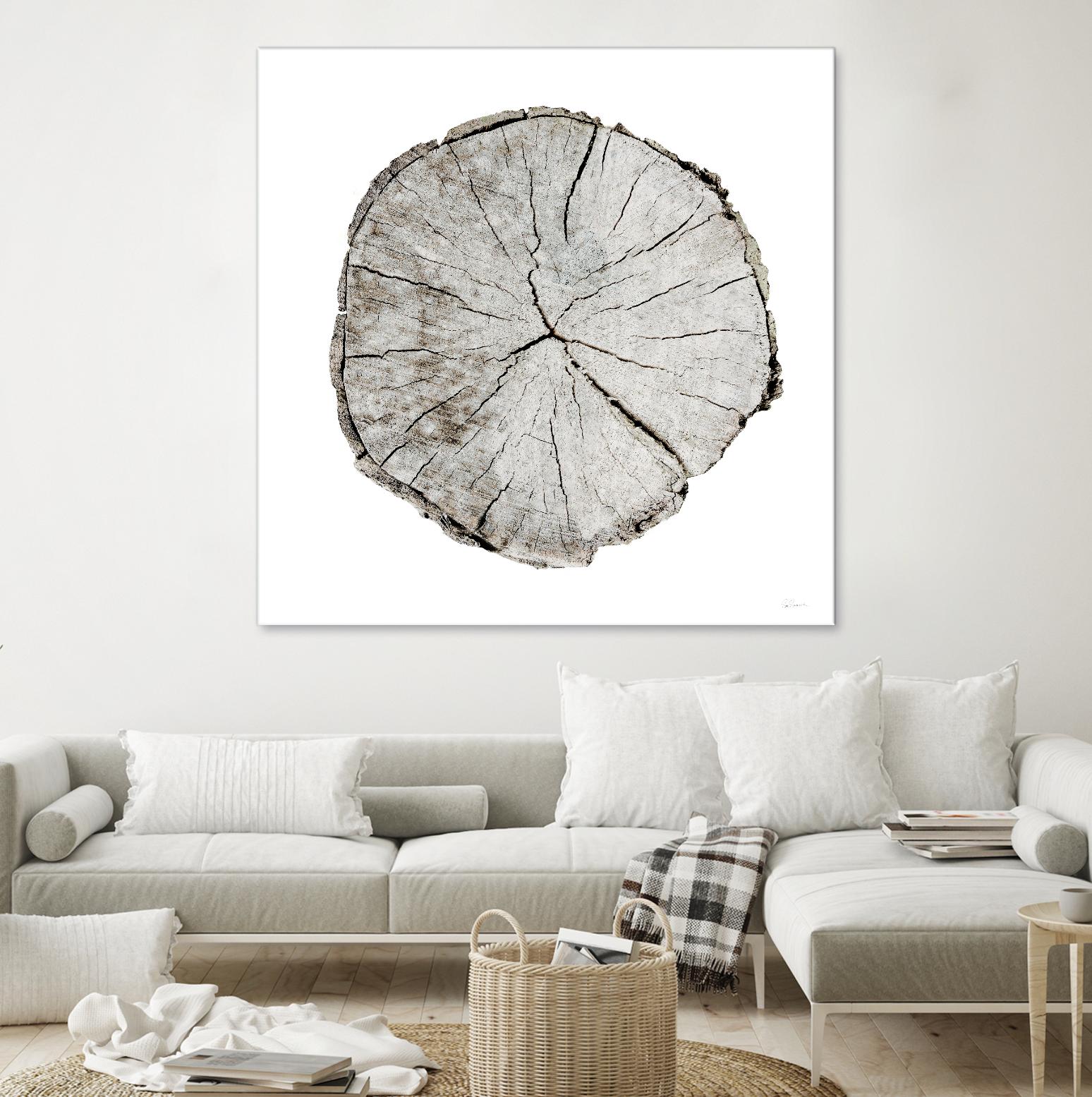 Woodland Years I on White by Sue Schlabach on GIANT ART - grey trees