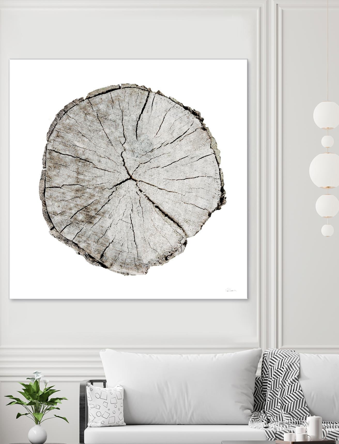 Woodland Years I on White by Sue Schlabach on GIANT ART - grey trees
