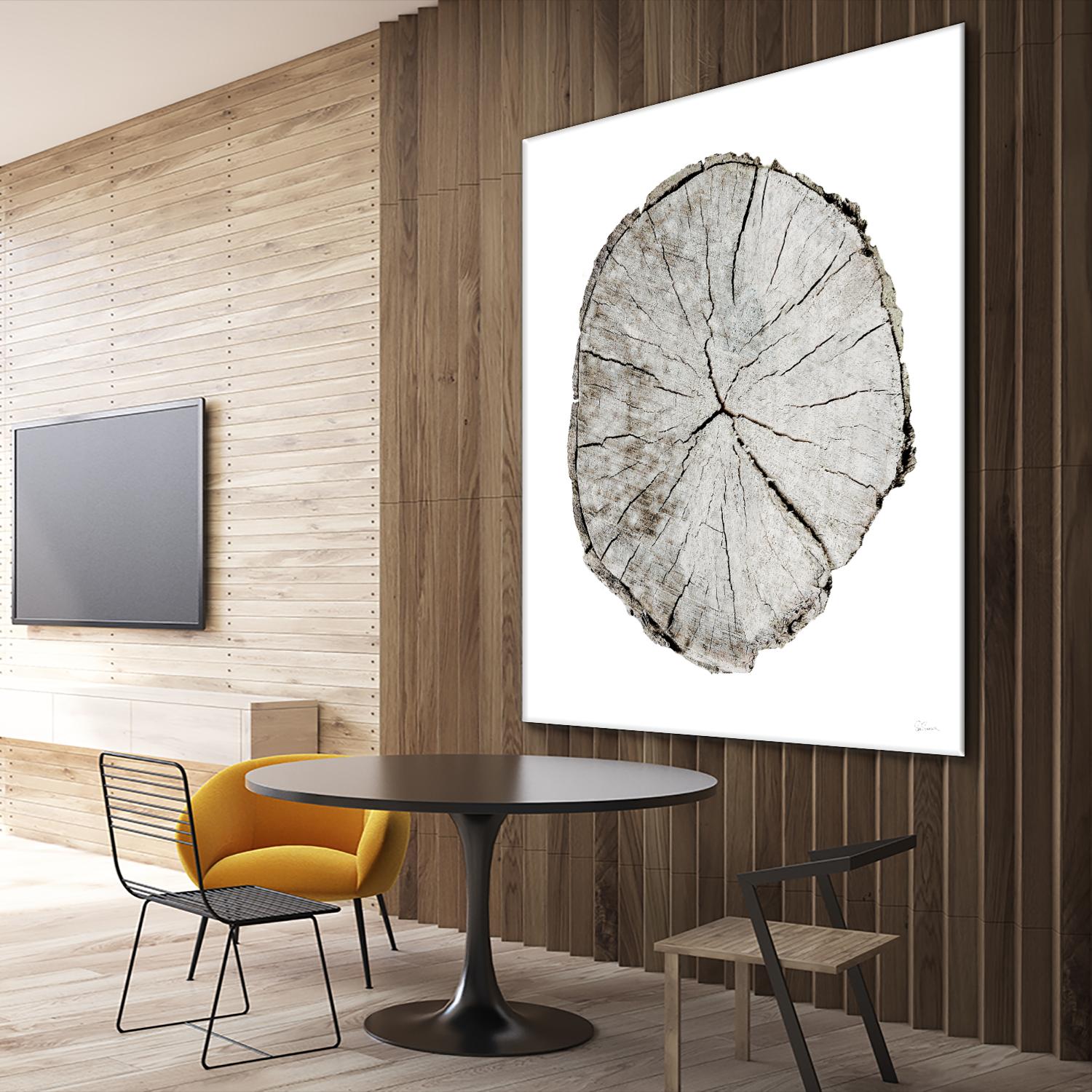 Woodland Years I on White by Sue Schlabach on GIANT ART - grey trees