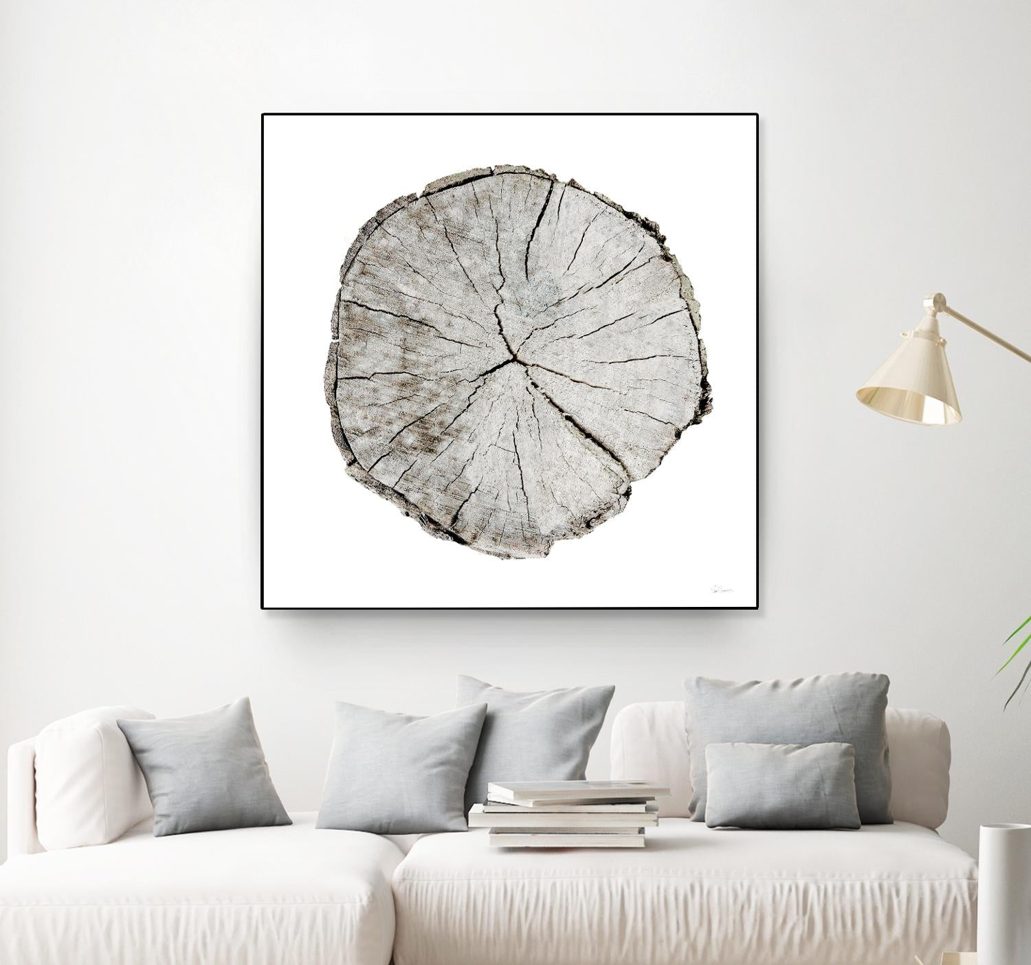 Woodland Years I on White by Sue Schlabach on GIANT ART - grey trees
