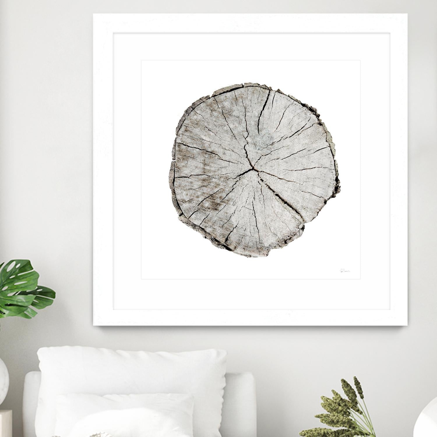 Woodland Years I on White by Sue Schlabach on GIANT ART - grey trees