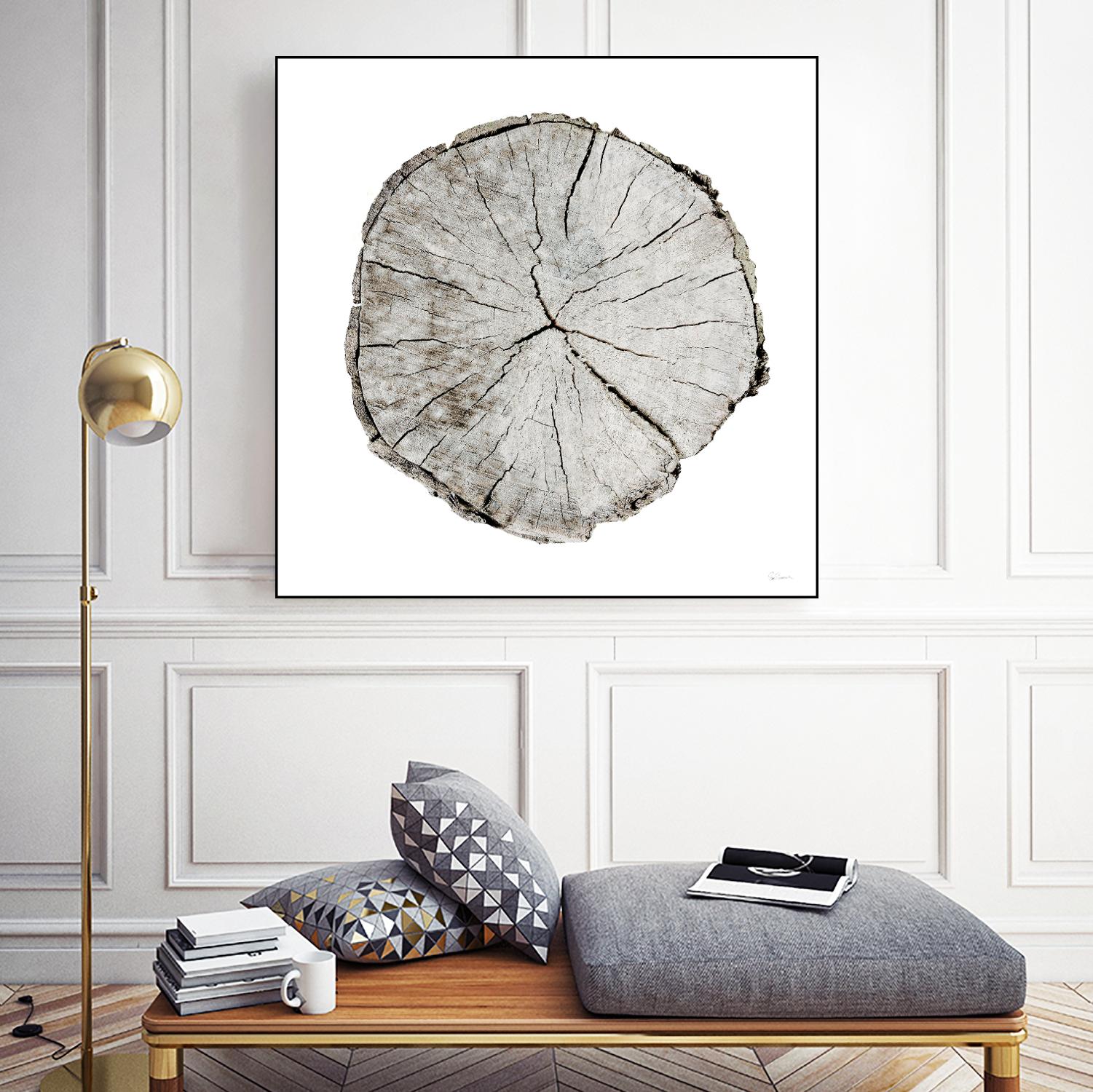 Woodland Years I on White by Sue Schlabach on GIANT ART - grey trees