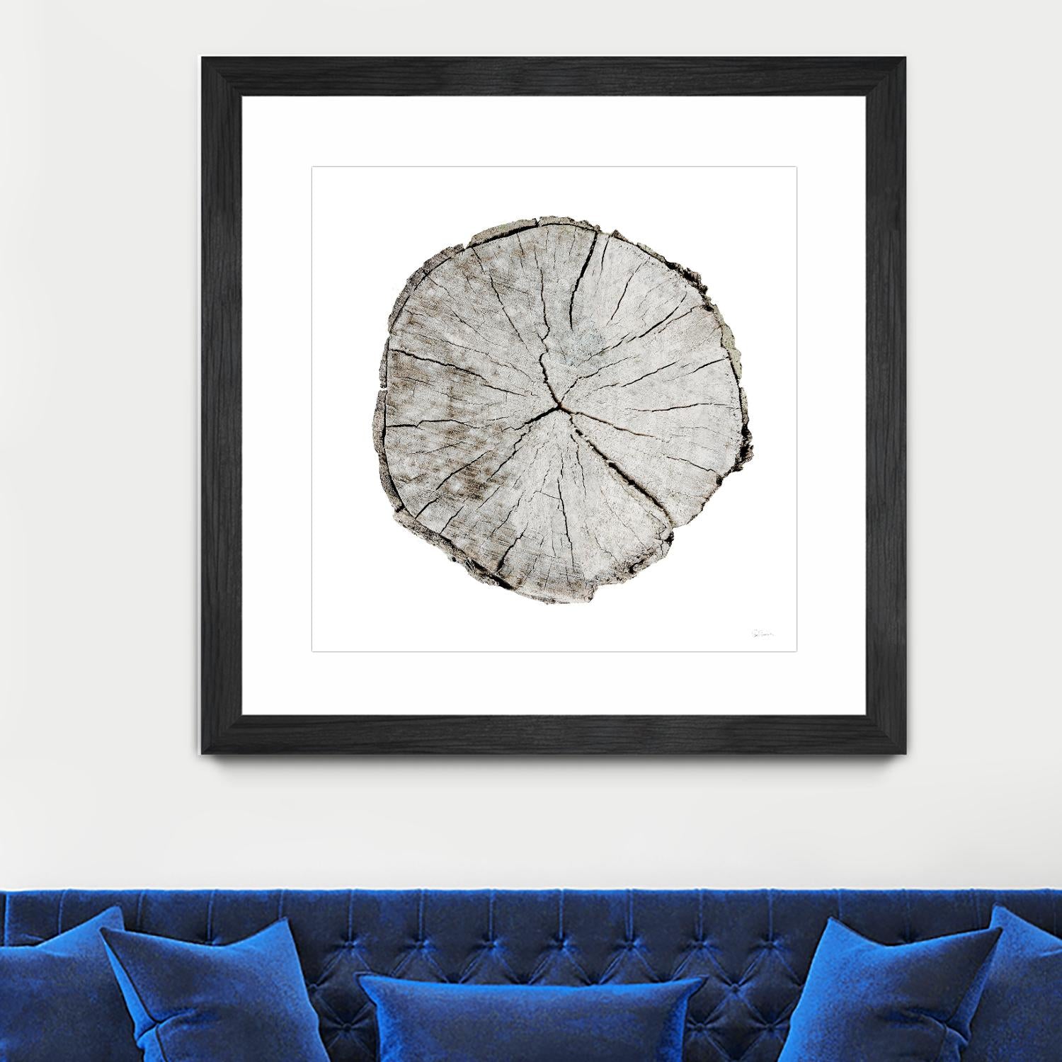 Woodland Years I on White by Sue Schlabach on GIANT ART - grey trees