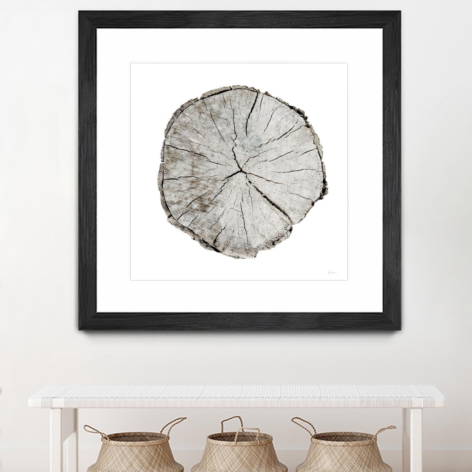 Woodland Years I on White by Sue Schlabach on GIANT ART - grey trees