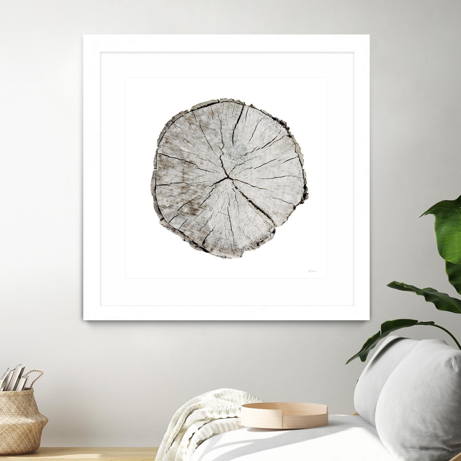 Woodland Years I on White by Sue Schlabach on GIANT ART - grey trees