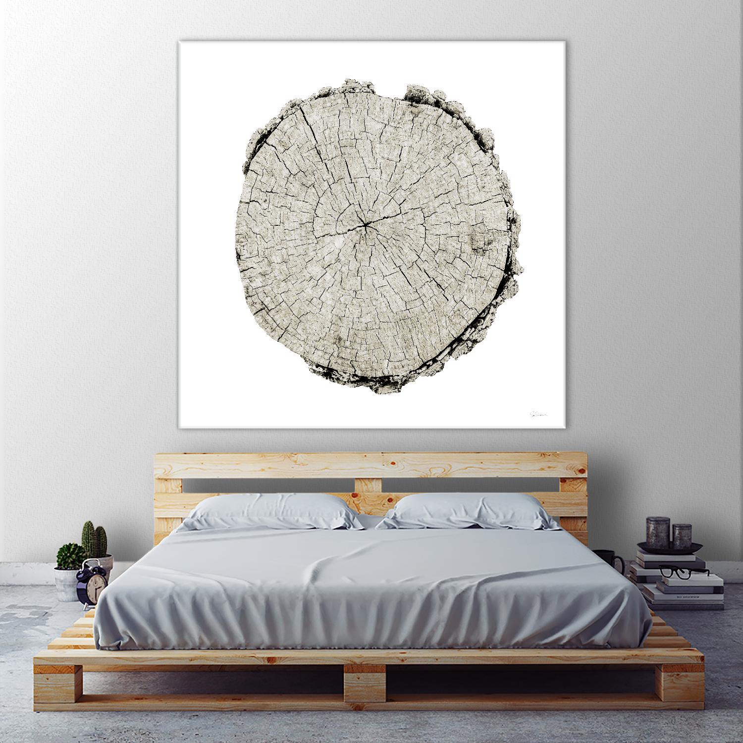 Woodland Years II on White by Sue Schlabach on GIANT ART - grey trees