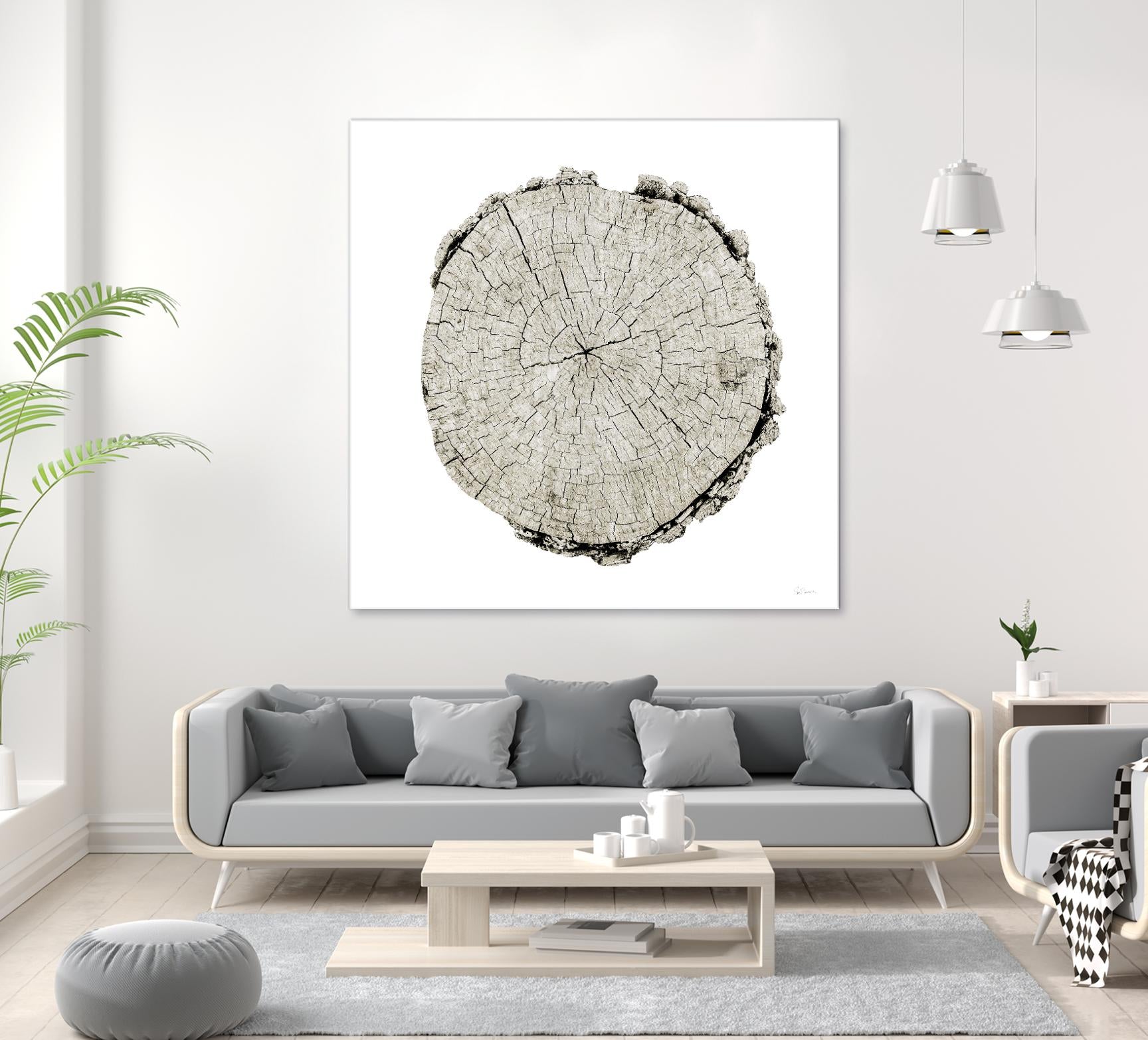 Woodland Years II on White by Sue Schlabach on GIANT ART - grey trees