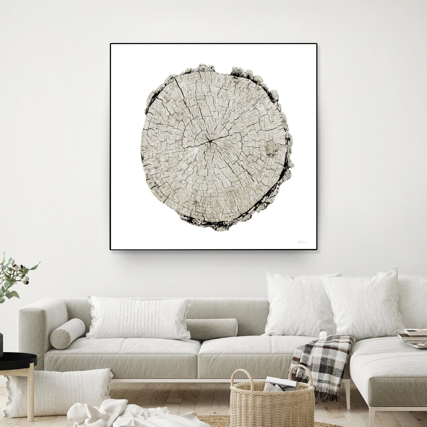 Woodland Years II on White by Sue Schlabach on GIANT ART - grey trees