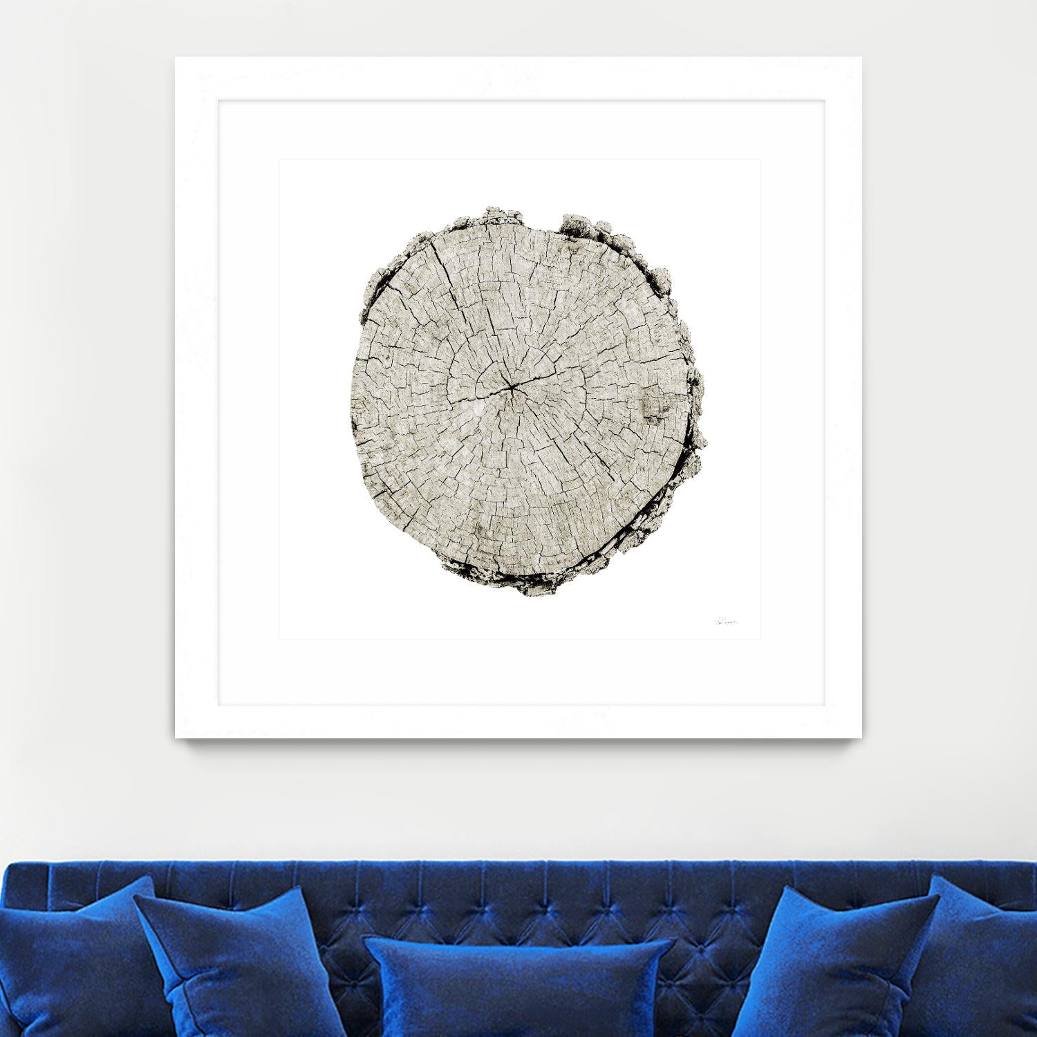 Woodland Years II on White by Sue Schlabach on GIANT ART - grey trees