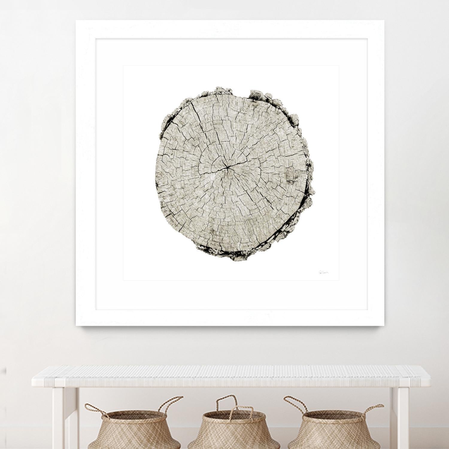 Woodland Years II on White by Sue Schlabach on GIANT ART - grey trees