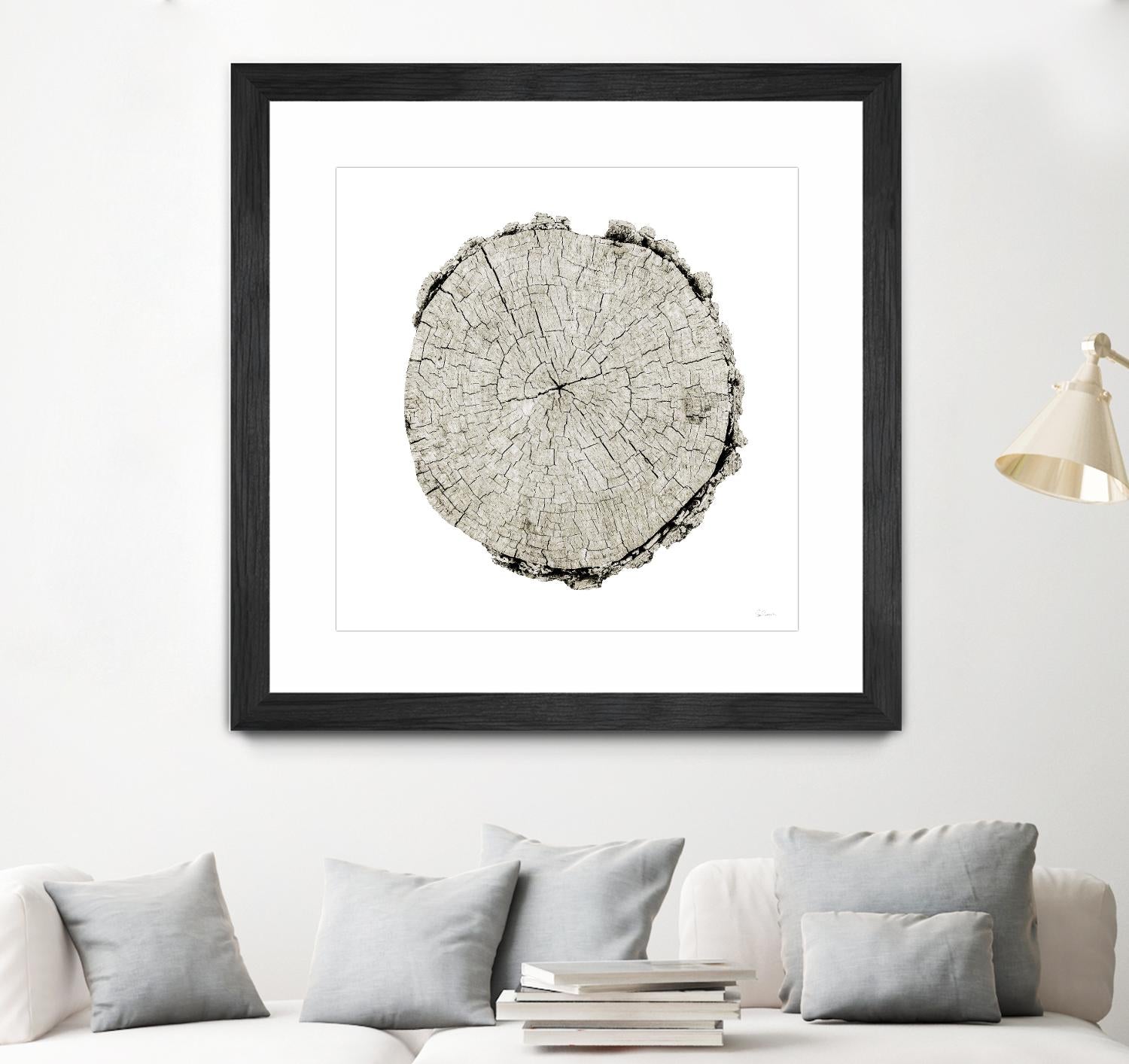 Woodland Years II on White by Sue Schlabach on GIANT ART - grey trees