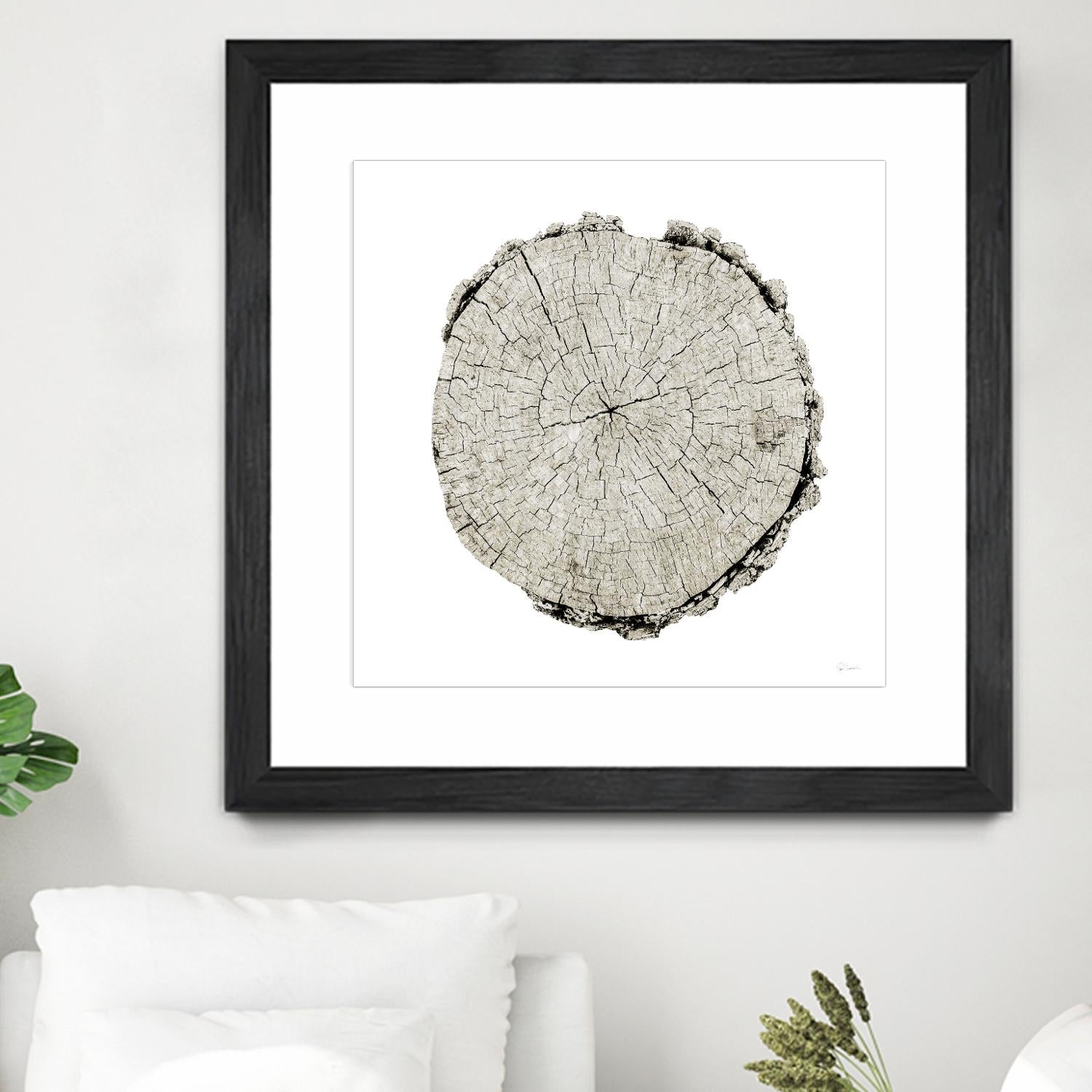Woodland Years II on White by Sue Schlabach on GIANT ART - grey trees