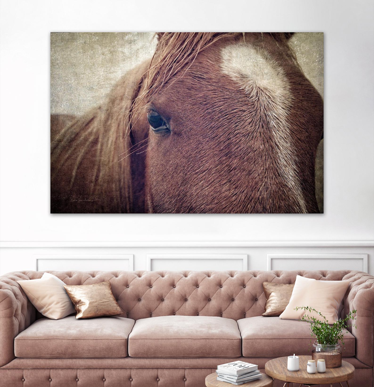 Dew Lashes by Debra Van Swearingen on GIANT ART - animals animals