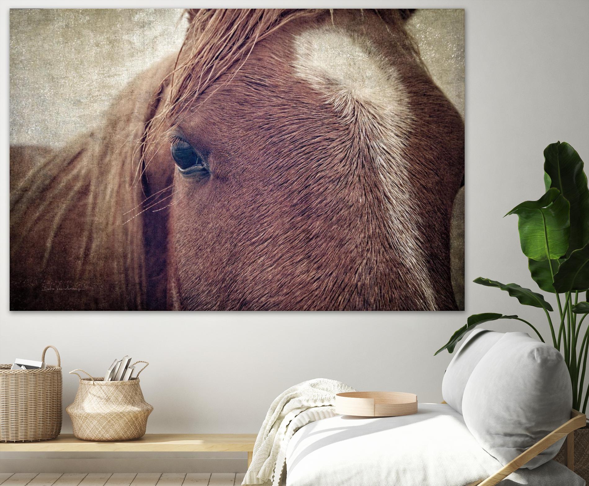 Dew Lashes by Debra Van Swearingen on GIANT ART - animals animals