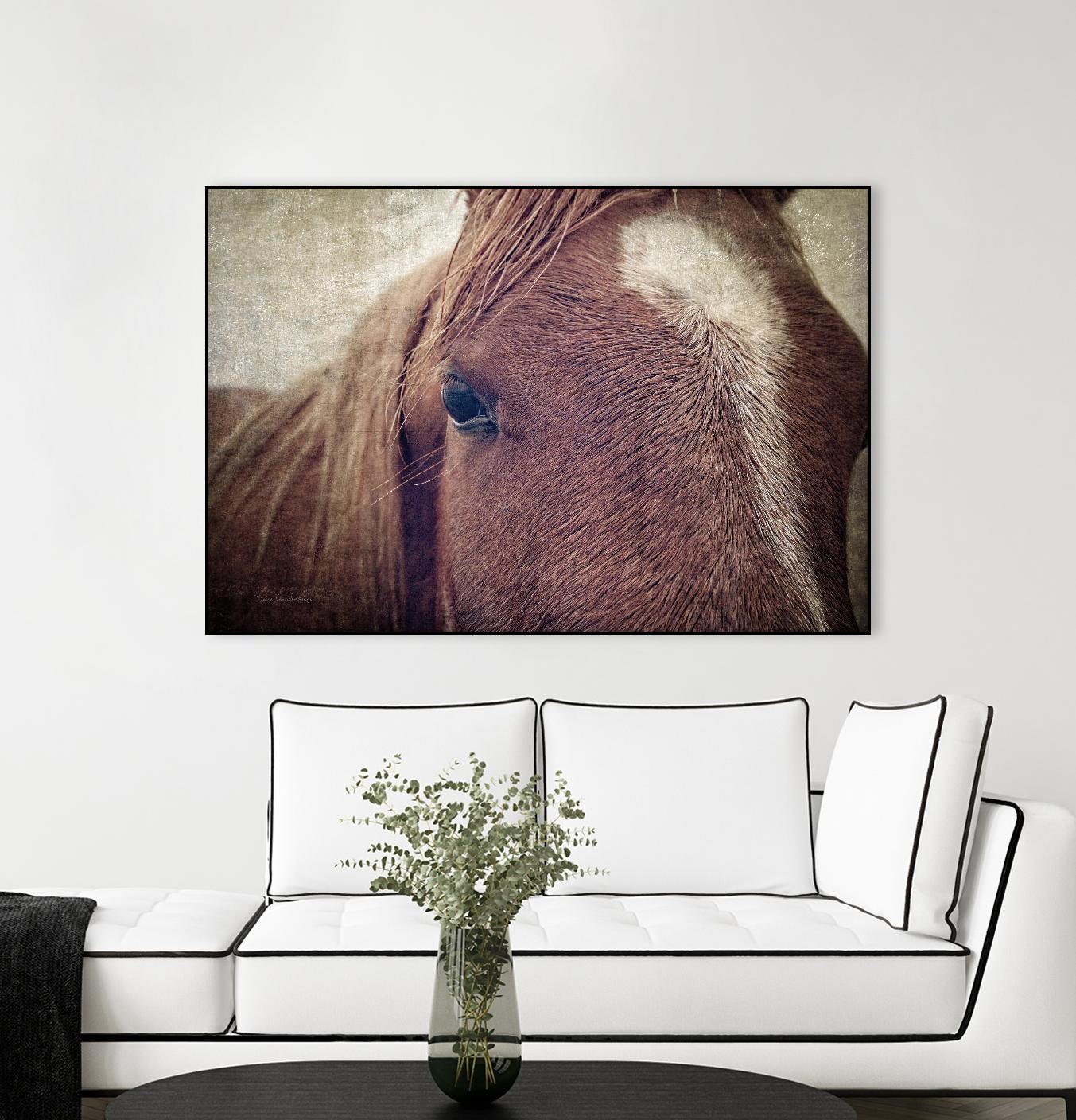 Dew Lashes by Debra Van Swearingen on GIANT ART - animals animals