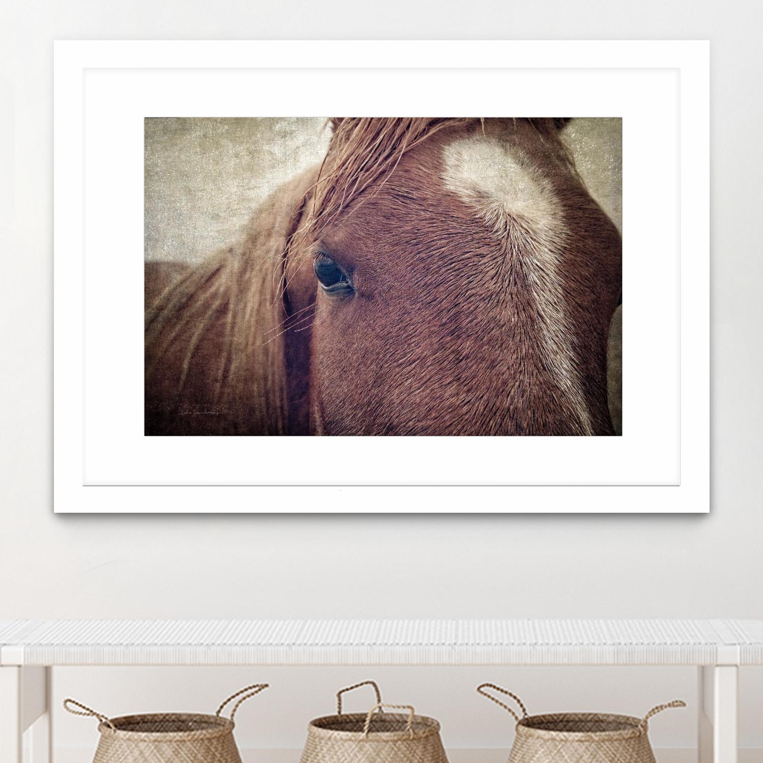 Dew Lashes by Debra Van Swearingen on GIANT ART - animals animals