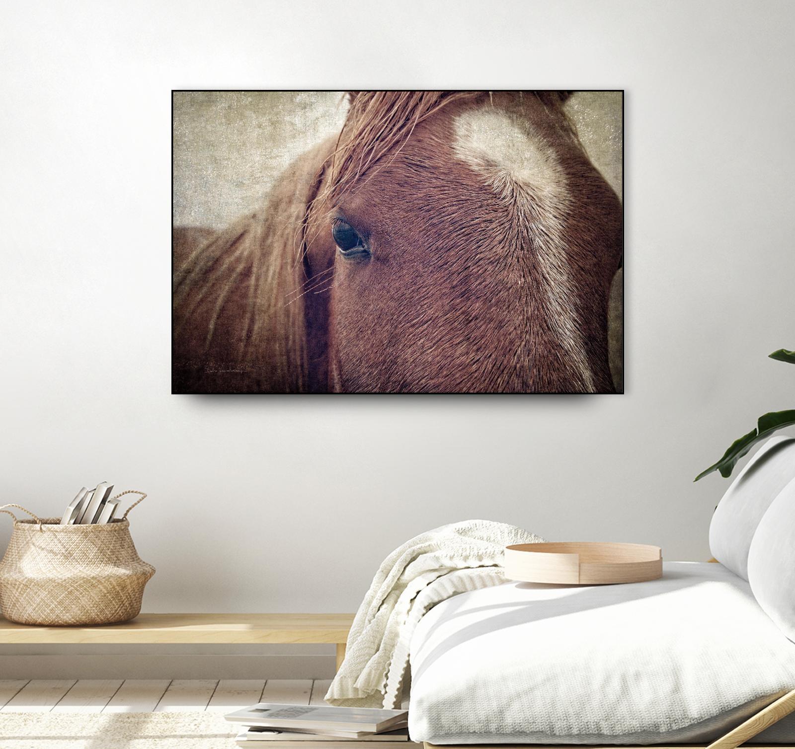 Dew Lashes by Debra Van Swearingen on GIANT ART - animals animals