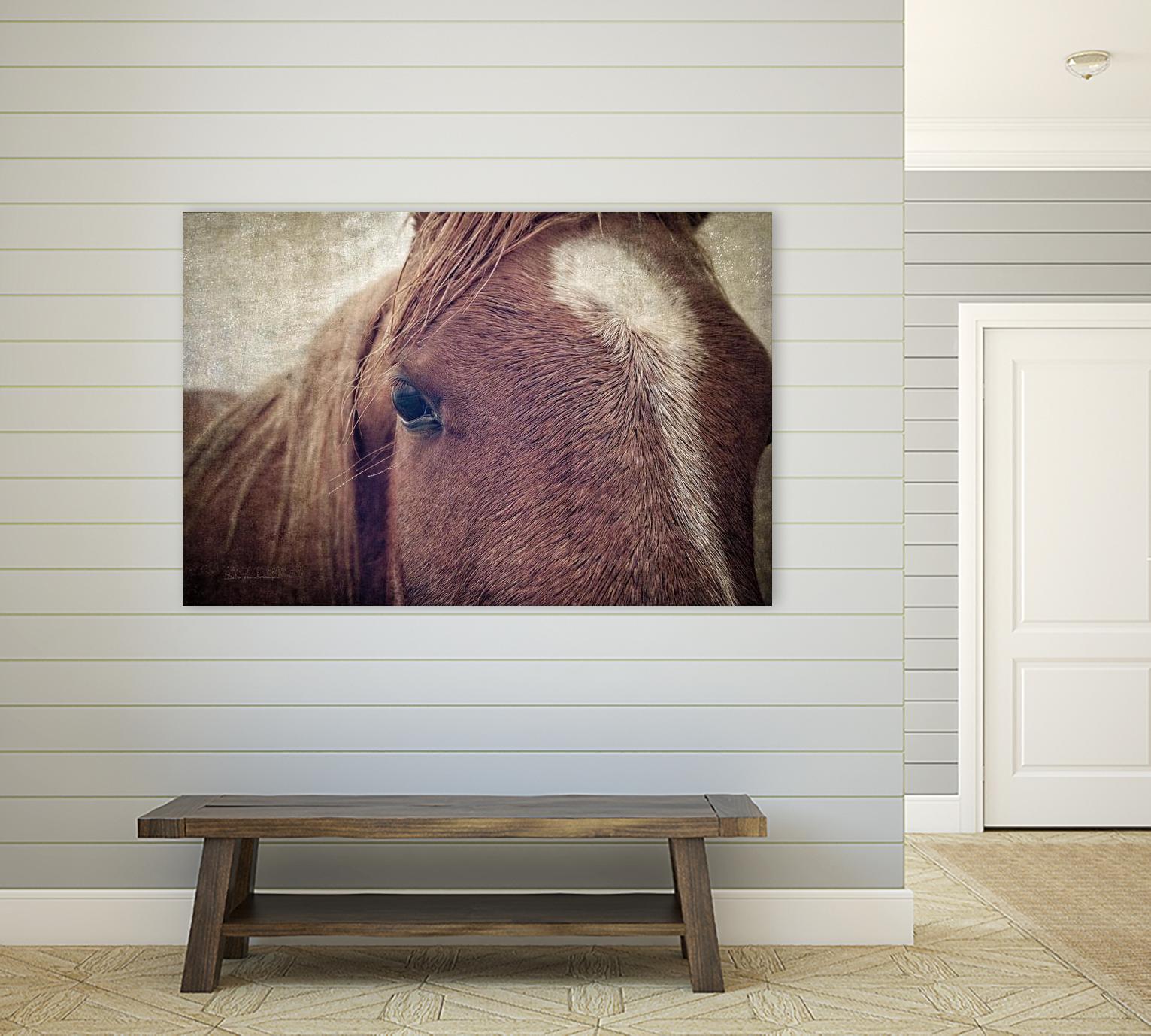 Dew Lashes by Debra Van Swearingen on GIANT ART - animals animals