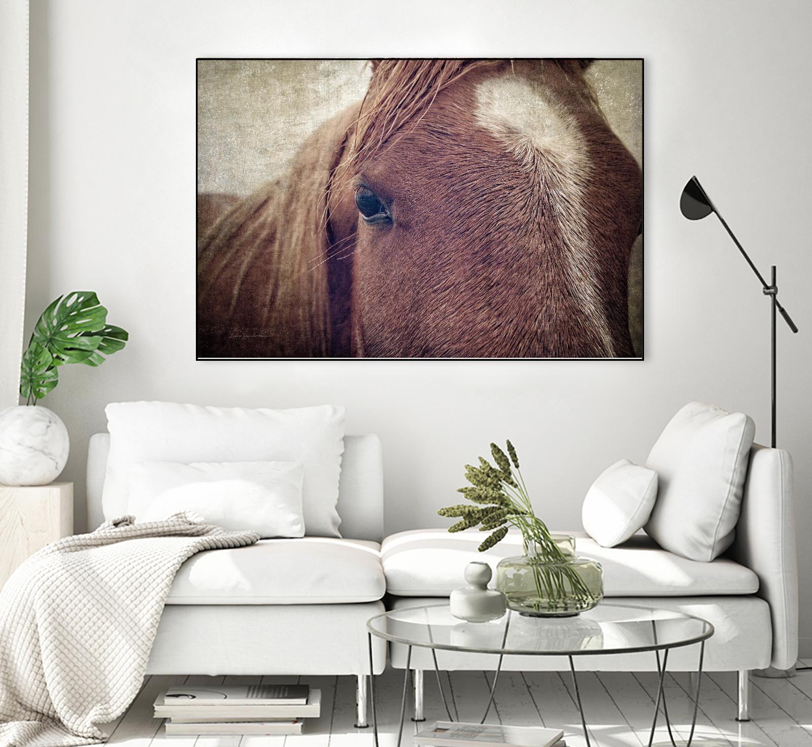 Dew Lashes by Debra Van Swearingen on GIANT ART - animals animals