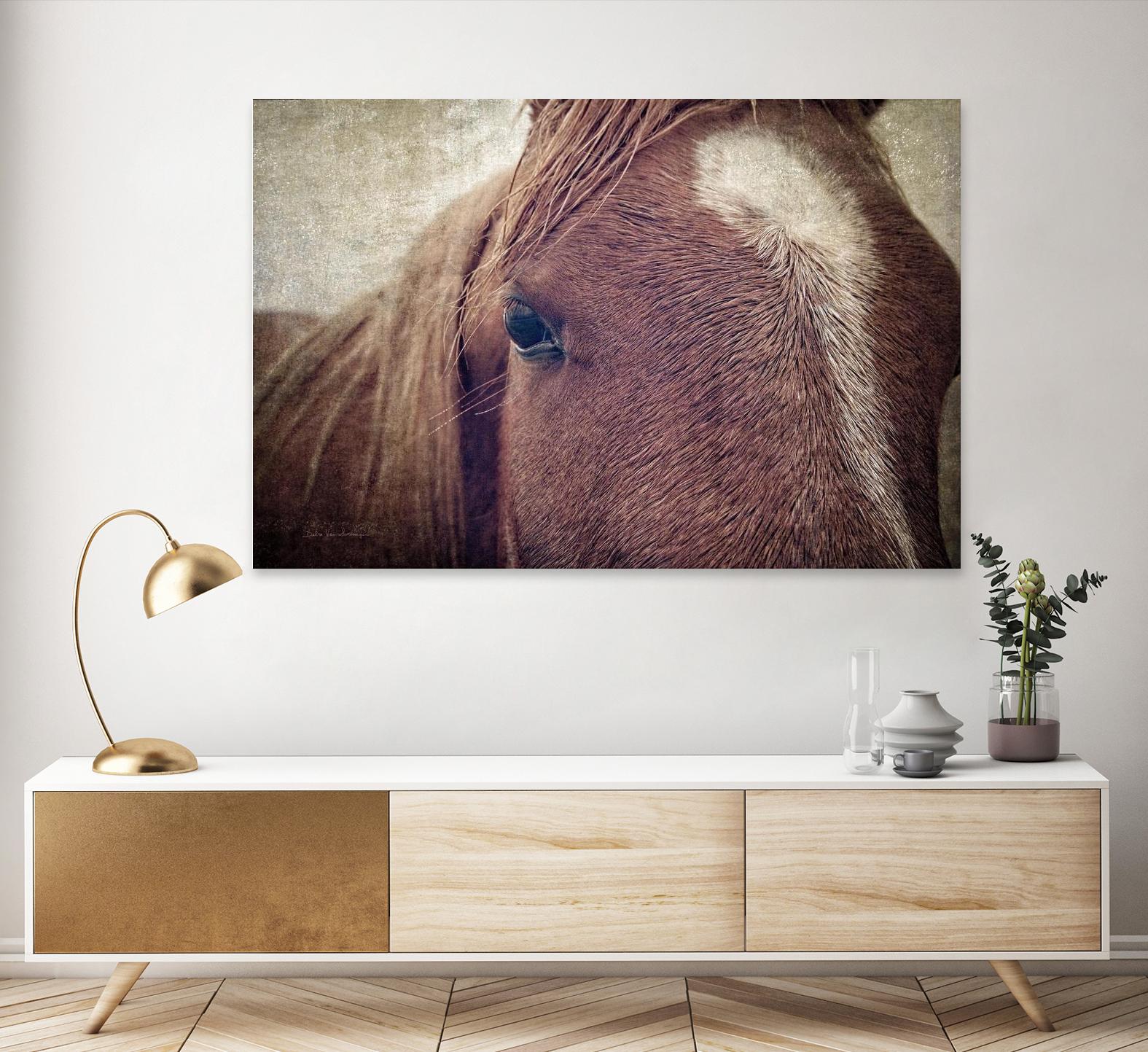 Dew Lashes by Debra Van Swearingen on GIANT ART - animals animals