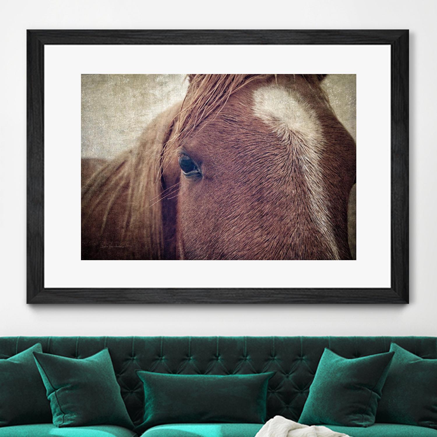 Dew Lashes by Debra Van Swearingen on GIANT ART - animals animals