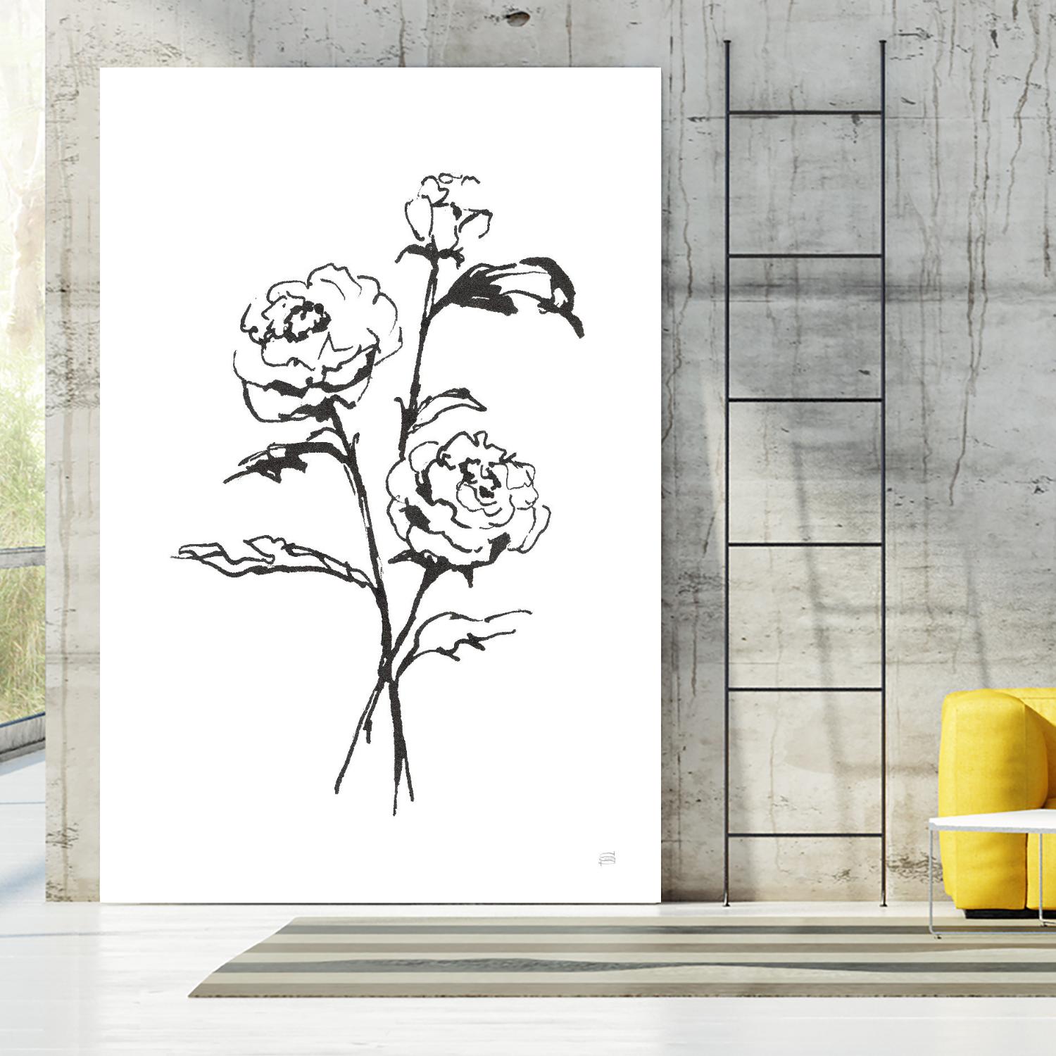 Line Ranunculus I by Chris Paschke on GIANT ART - florals black