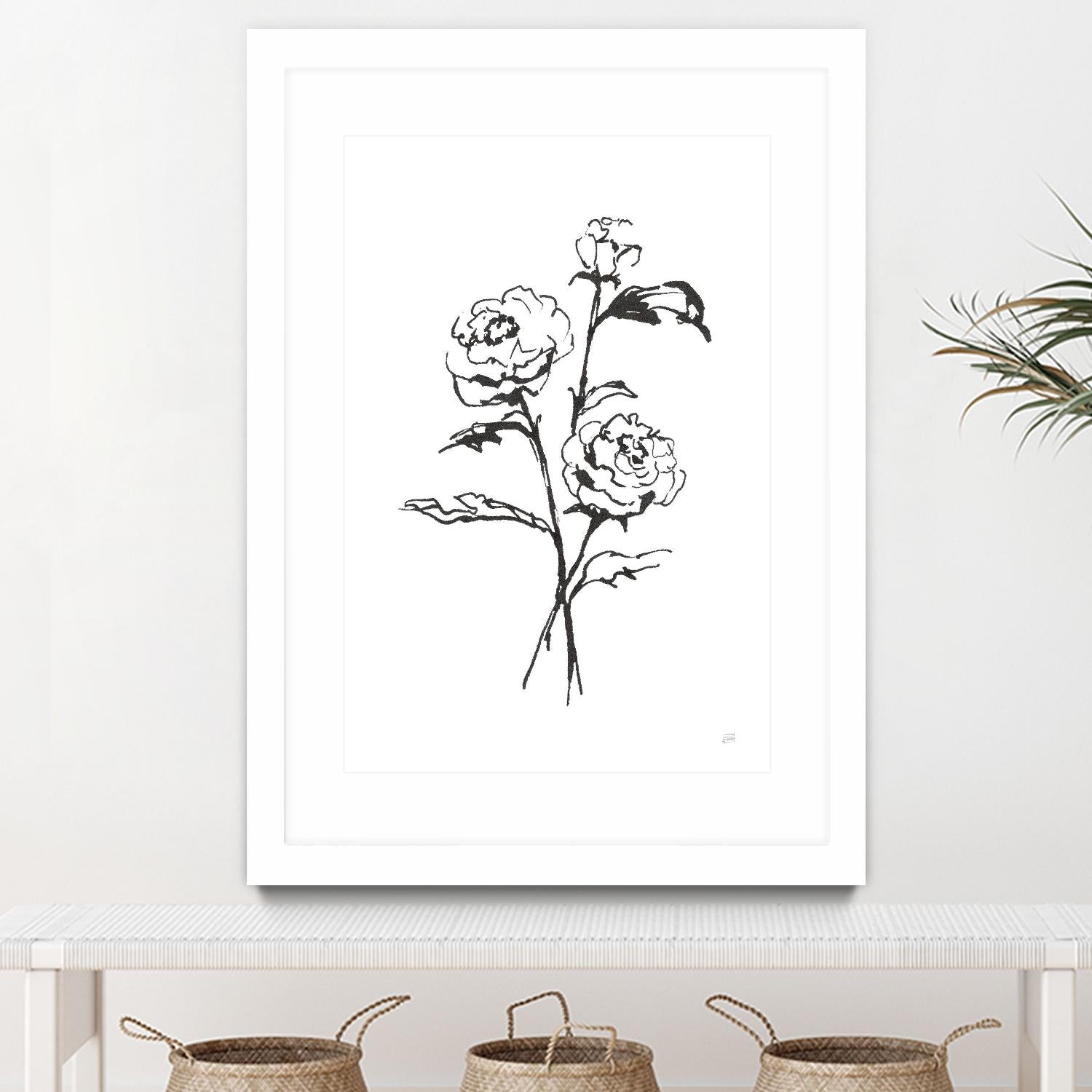 Line Ranunculus I by Chris Paschke on GIANT ART - florals black