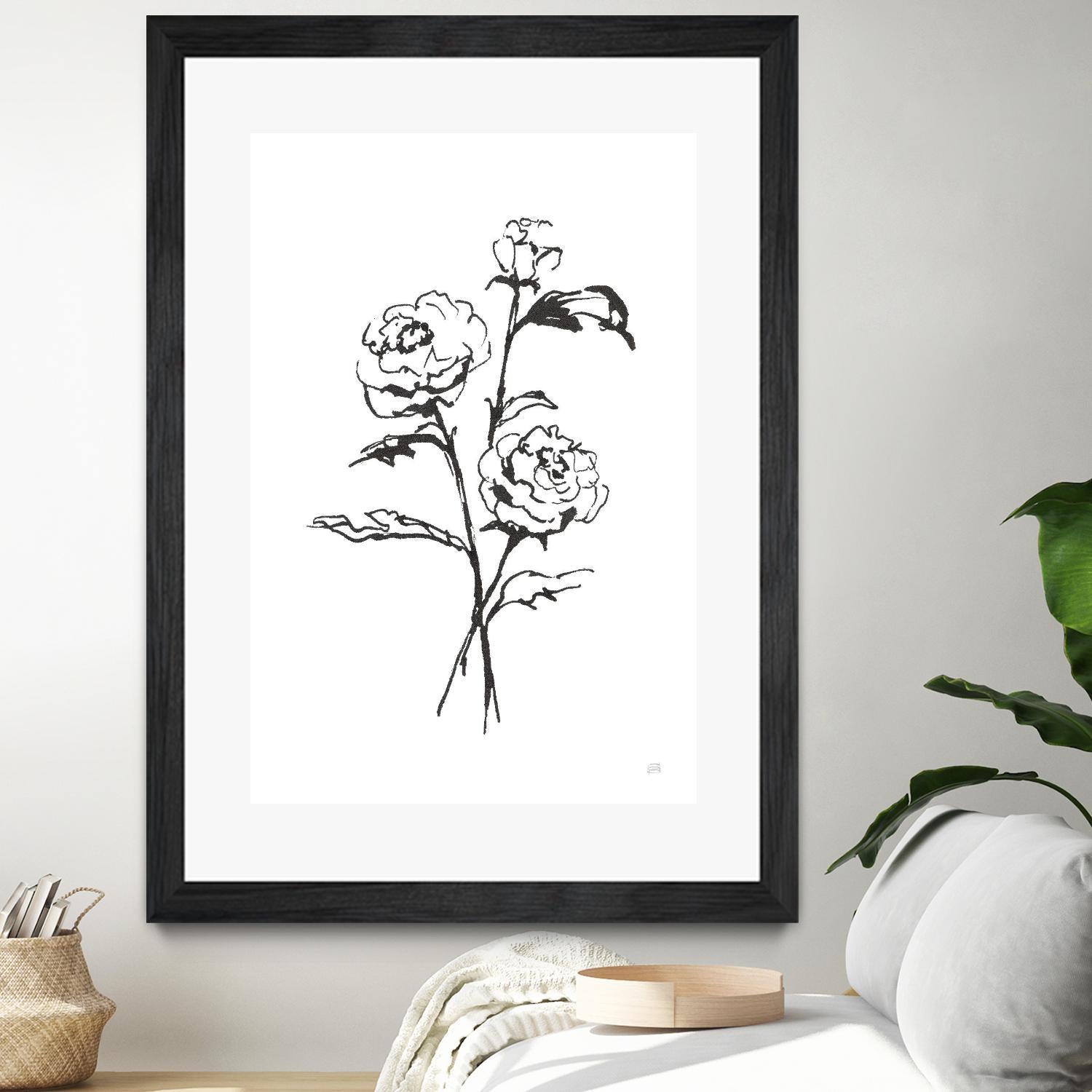 Line Ranunculus I by Chris Paschke on GIANT ART - florals black